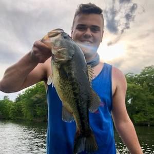 Meet your Posher, Bobby